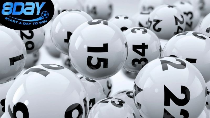 Mẹo và Lời Khuyên cho Người Mới Bắt Đầu